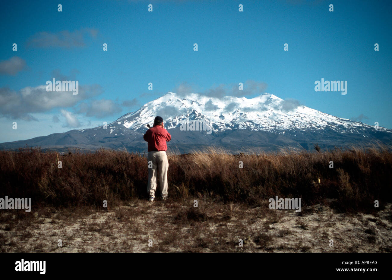 Photographer in the middle of tussock plains and Mount Ruapehu North Island New Zealand Stock Photo