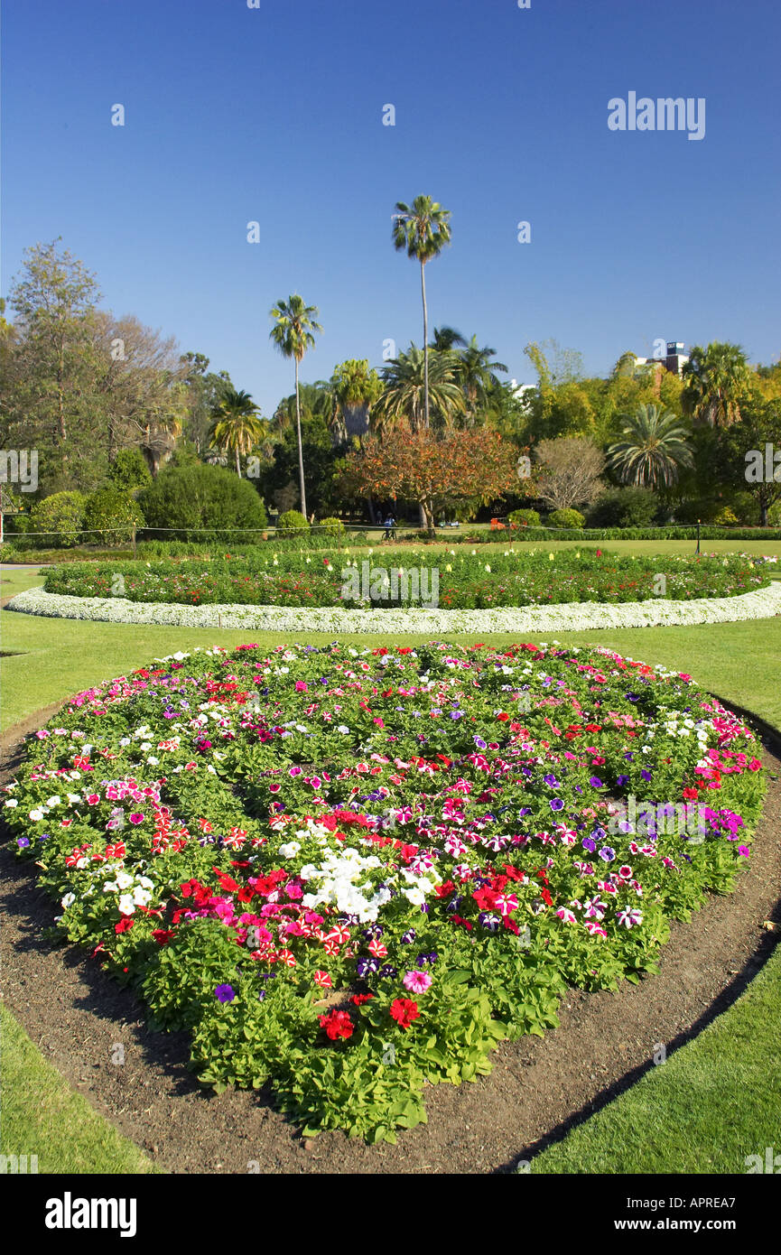 Flower Garden City Botanic Gardens Brisbane Queensland Australia Stock