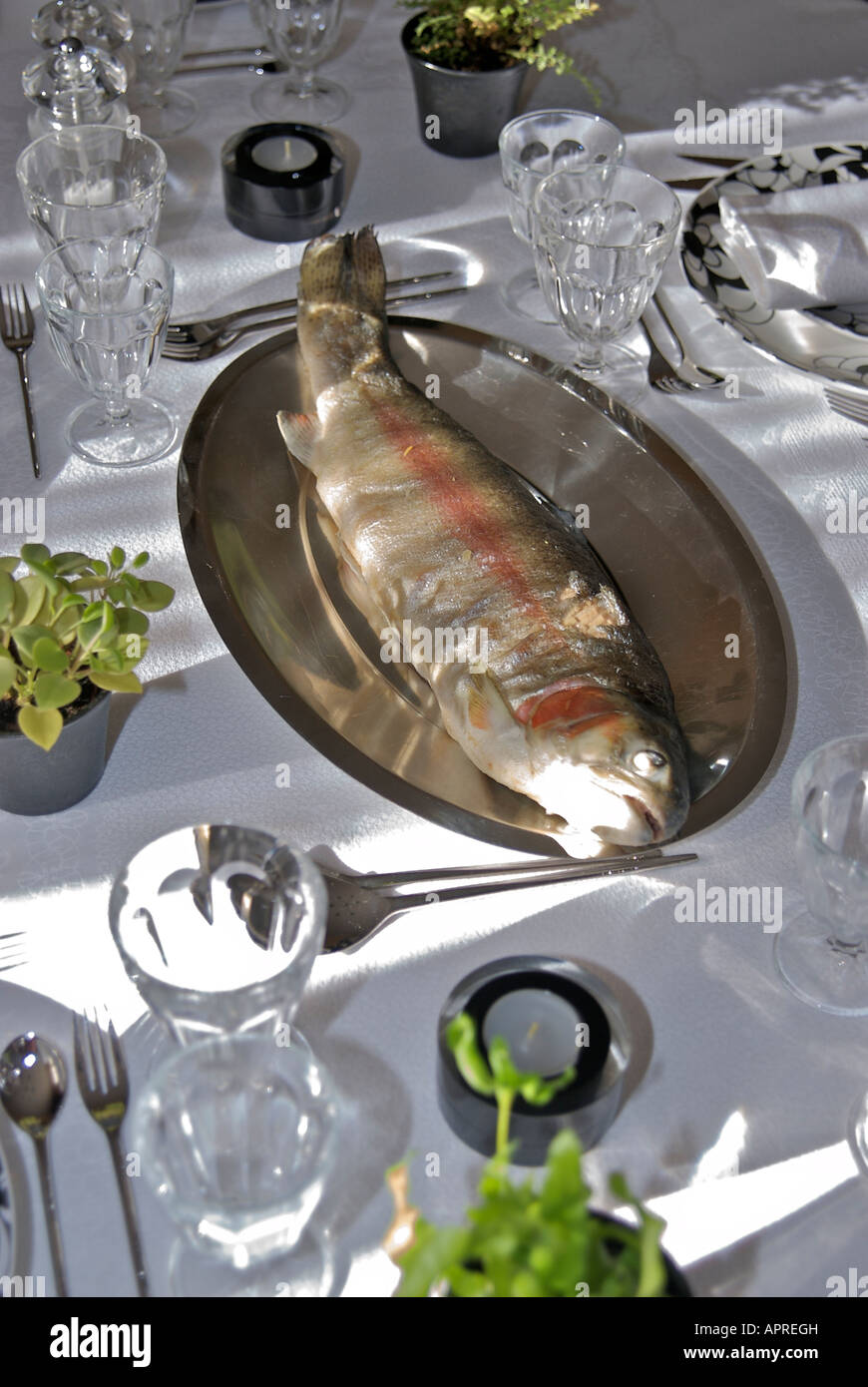 Whole cooked trout fish on a dining table with place settings Stock Photo