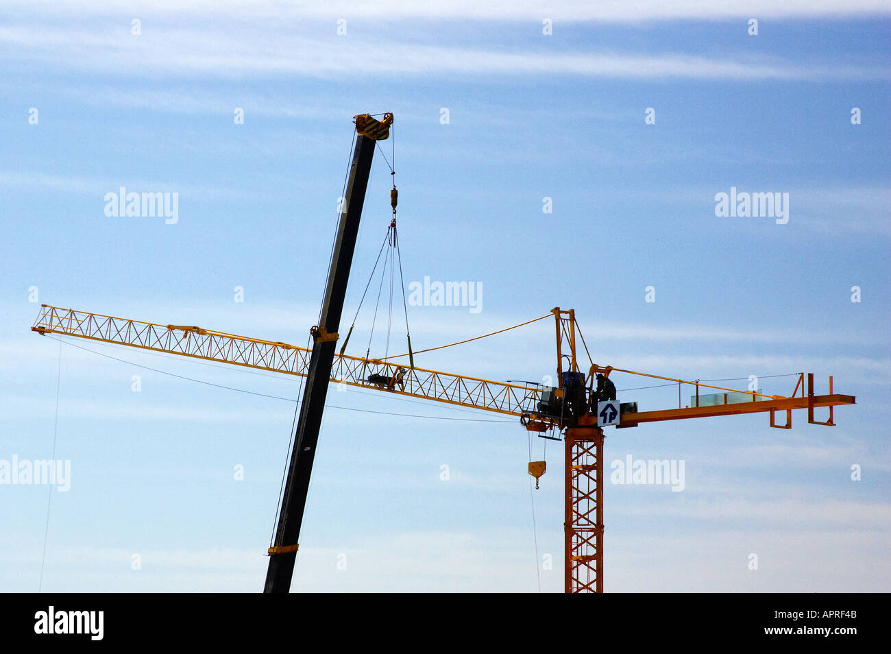 Tower Crane Gold Coast Queensland Australia Stock Photo Alamy