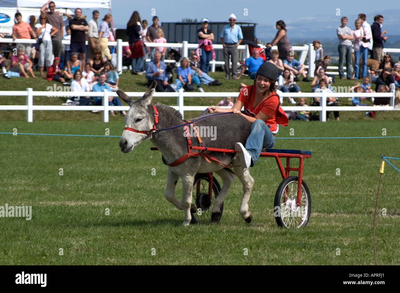 Donkey Race High Resolution Stock Photography and Images Alamy