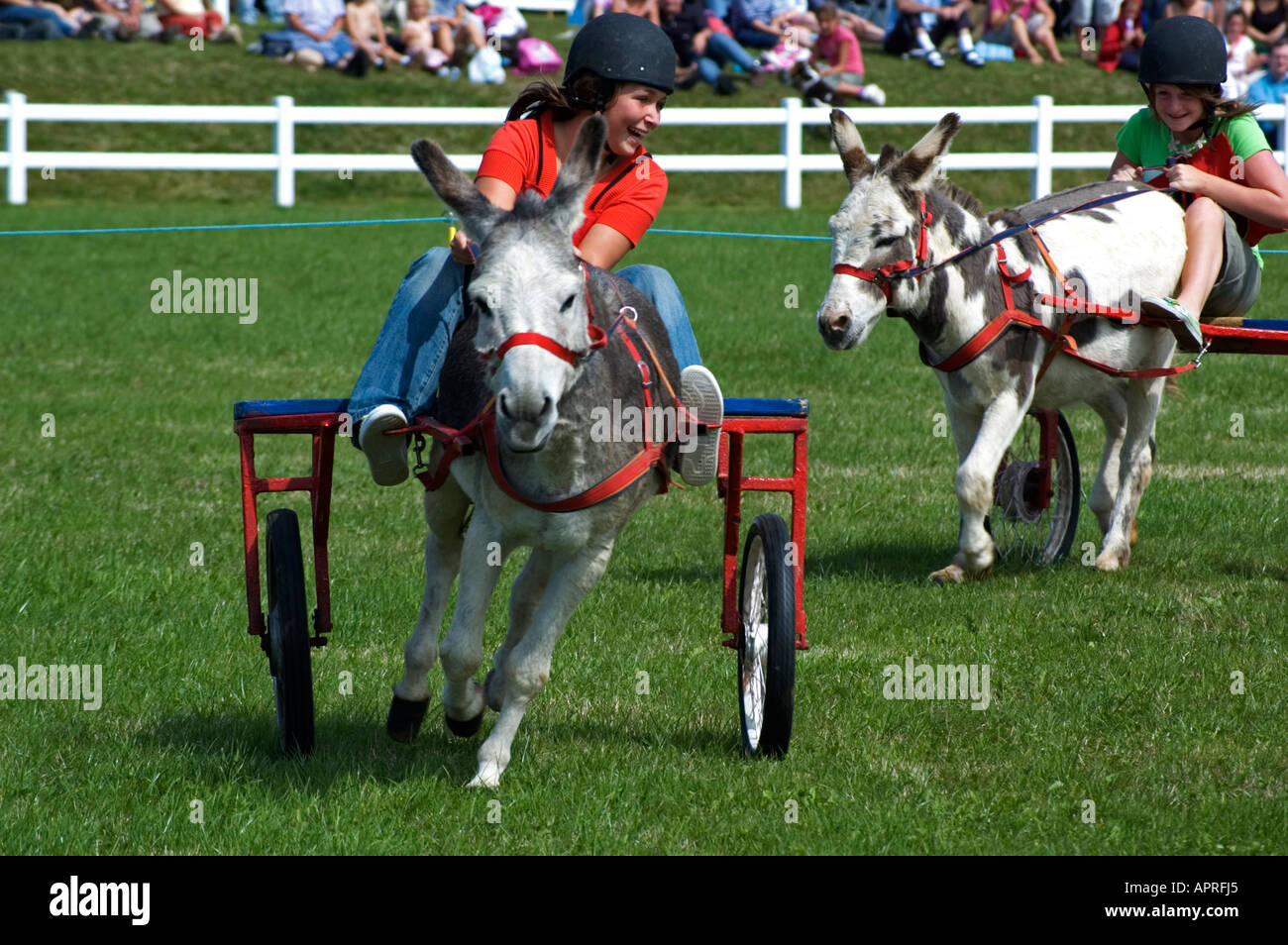 a young girl in a donkey derby race Stock Photo