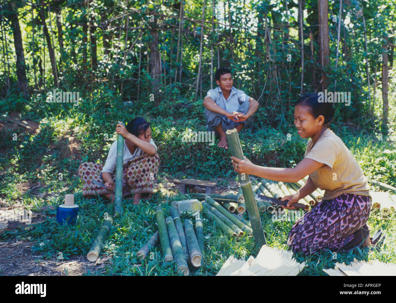 women chopping bamboo with machete, Laos Stock Photo Alamy