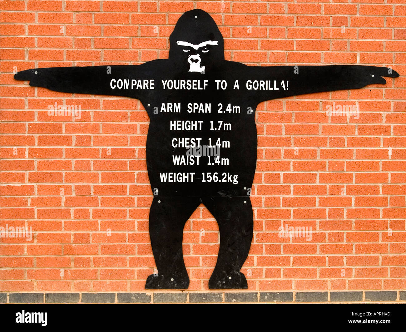 Twycross zoo sign hi-res stock photography and images - Alamy