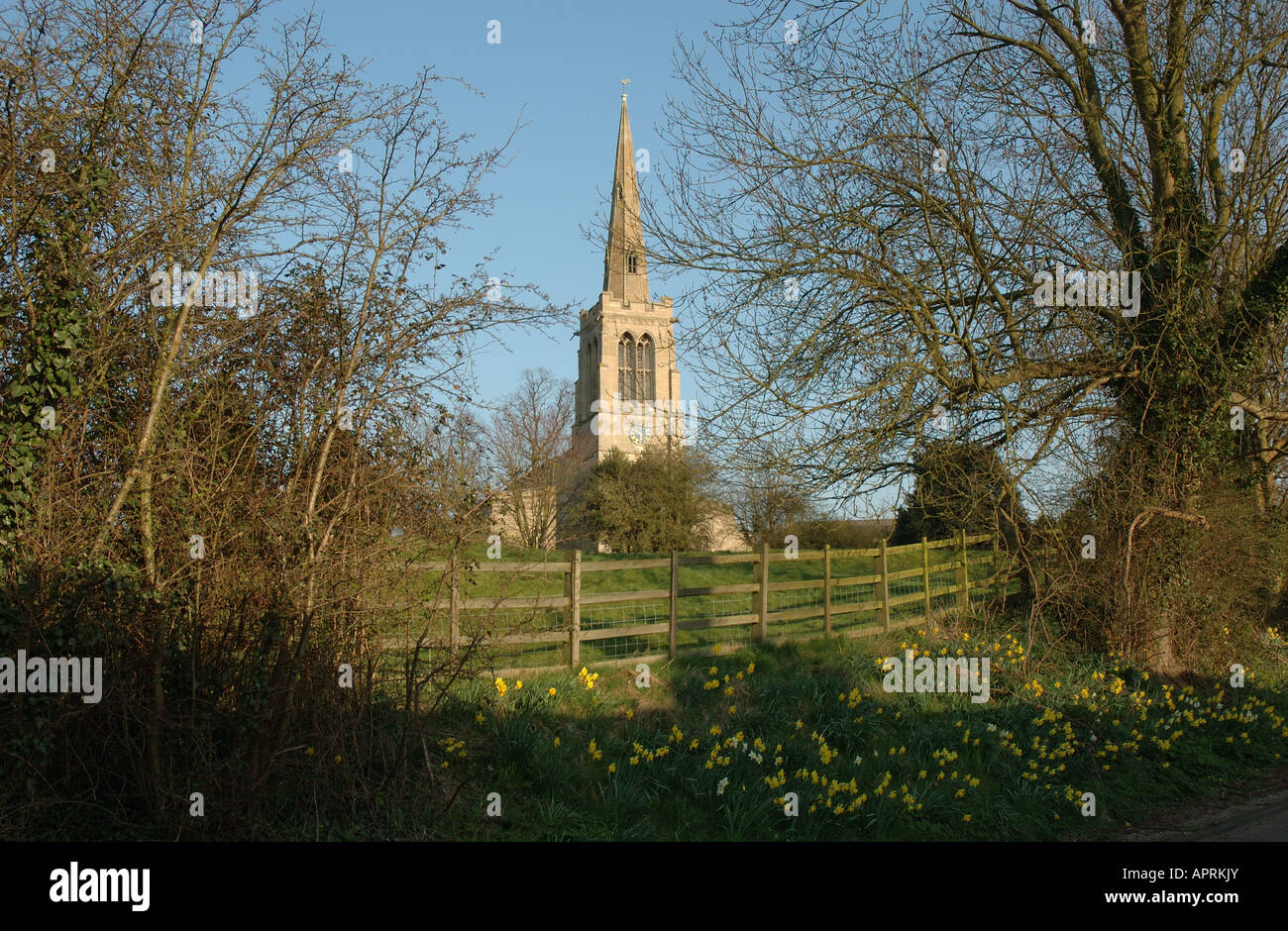 Bulwick St Nicholas church, Bulwick, Northamptonshire, England, UK Stock Photo ...