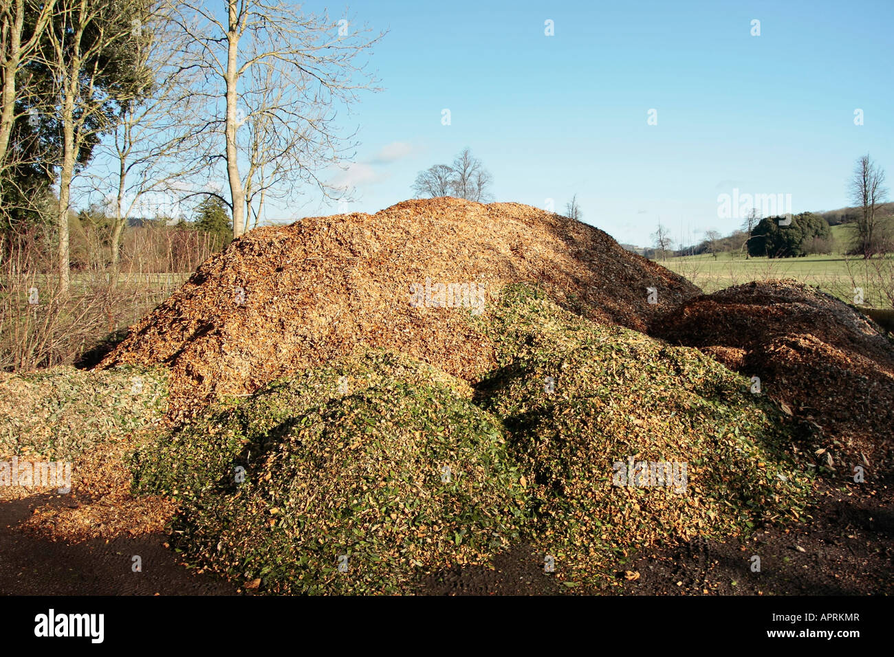 Compost heap in winter. It comprises shredded bark and hedge clippings. Sussex, England, UK Stock Photo