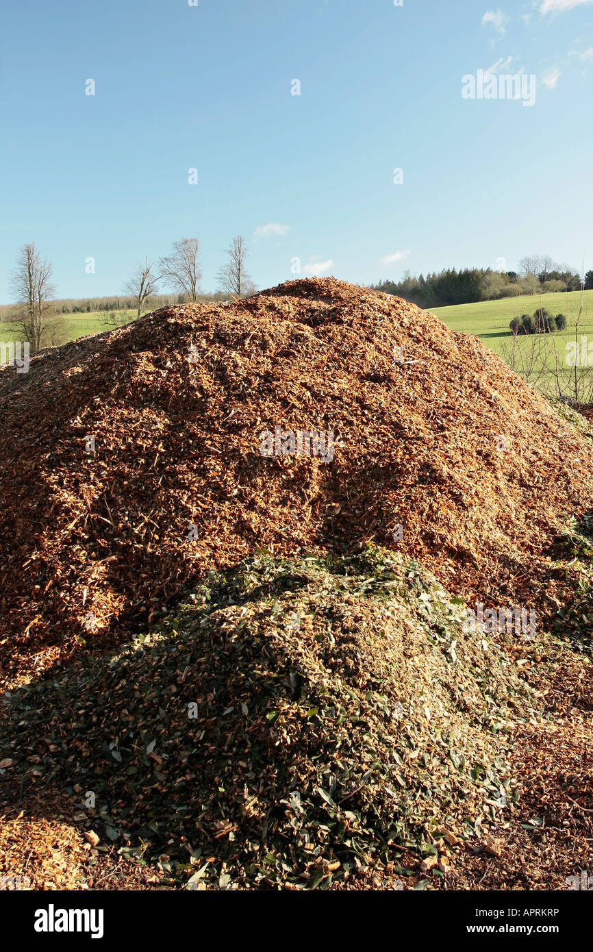Compost heap in winter. It comprises shredded bark and hedge clippings. Sussex, England, UK Stock Photo