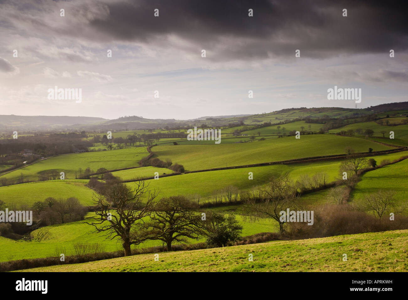 View towards Bettiscombe from Sliding Hill, Dorset, UK Stock Photo - Alamy