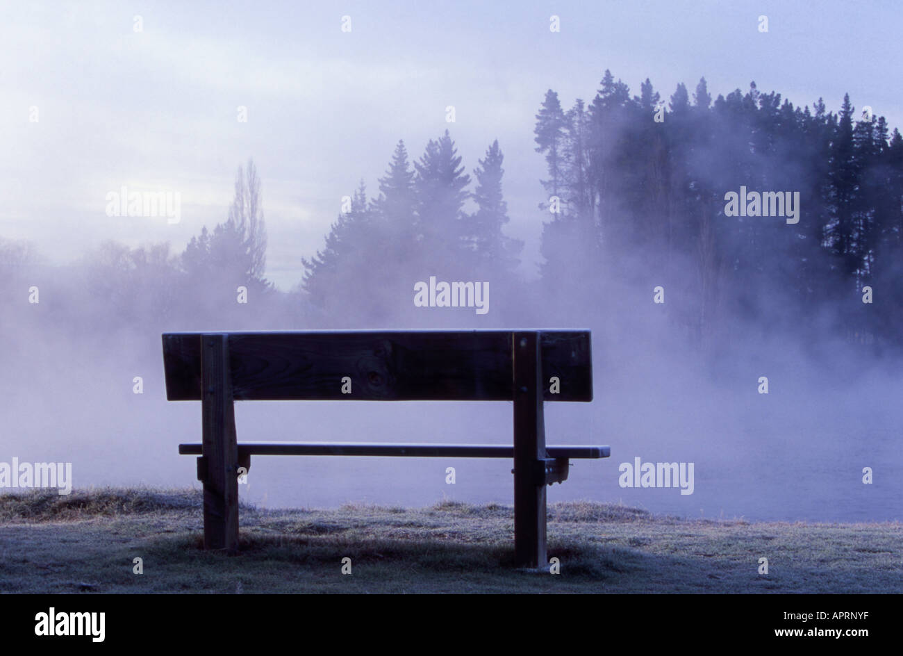 Bench in morning mist over the Clutha River at Albert Town South Island New Zealand Stock Photo
