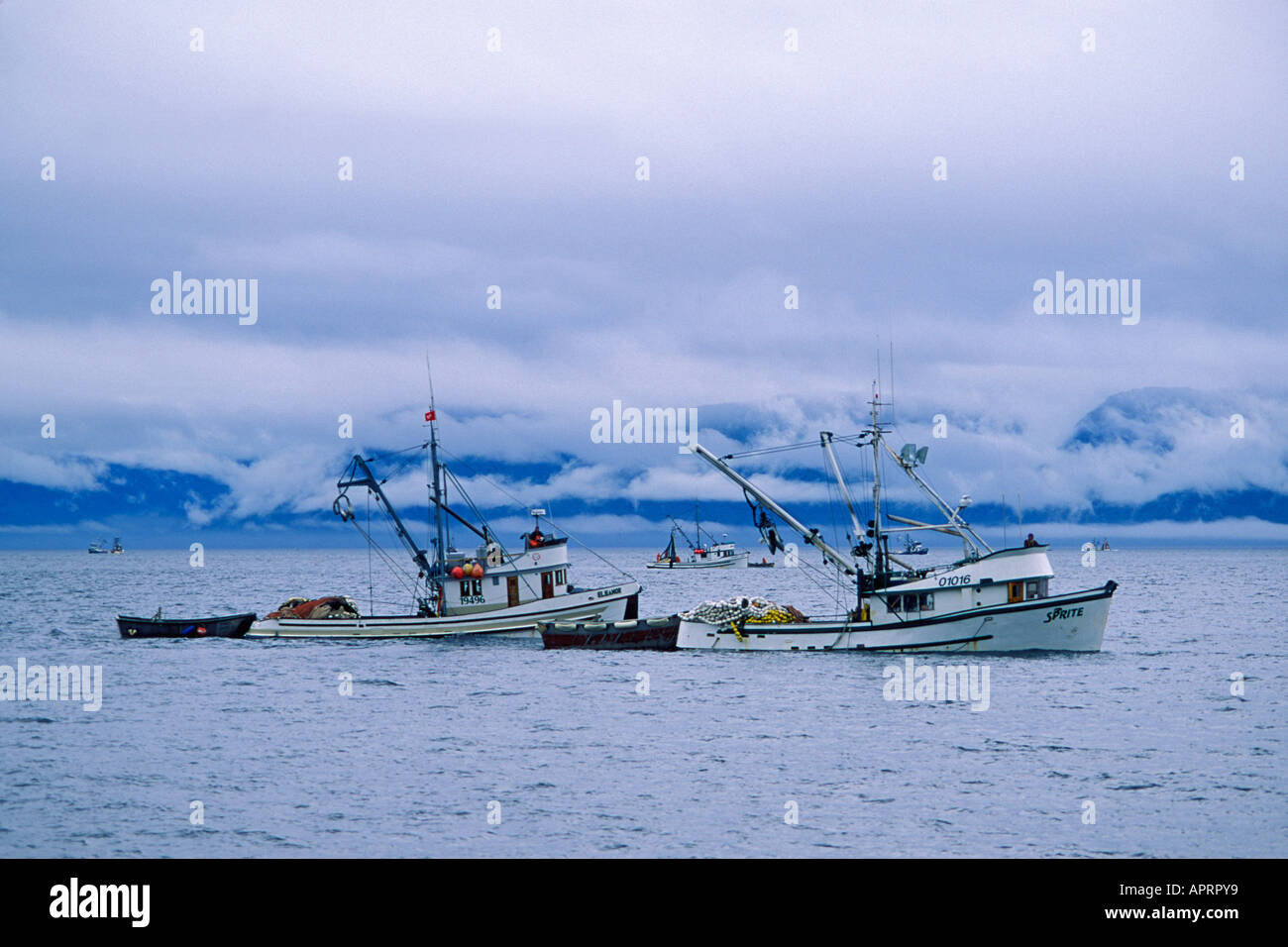 commercial fishing vessels out fishing for chum salmon Oncorhynchus keta in Hidden Falls southeast Alaska seiner Stock Photo