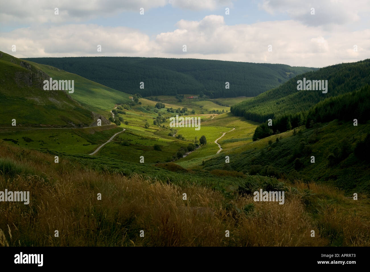 Llanwrtyd wells and cambrian hires stock photography and images Alamy