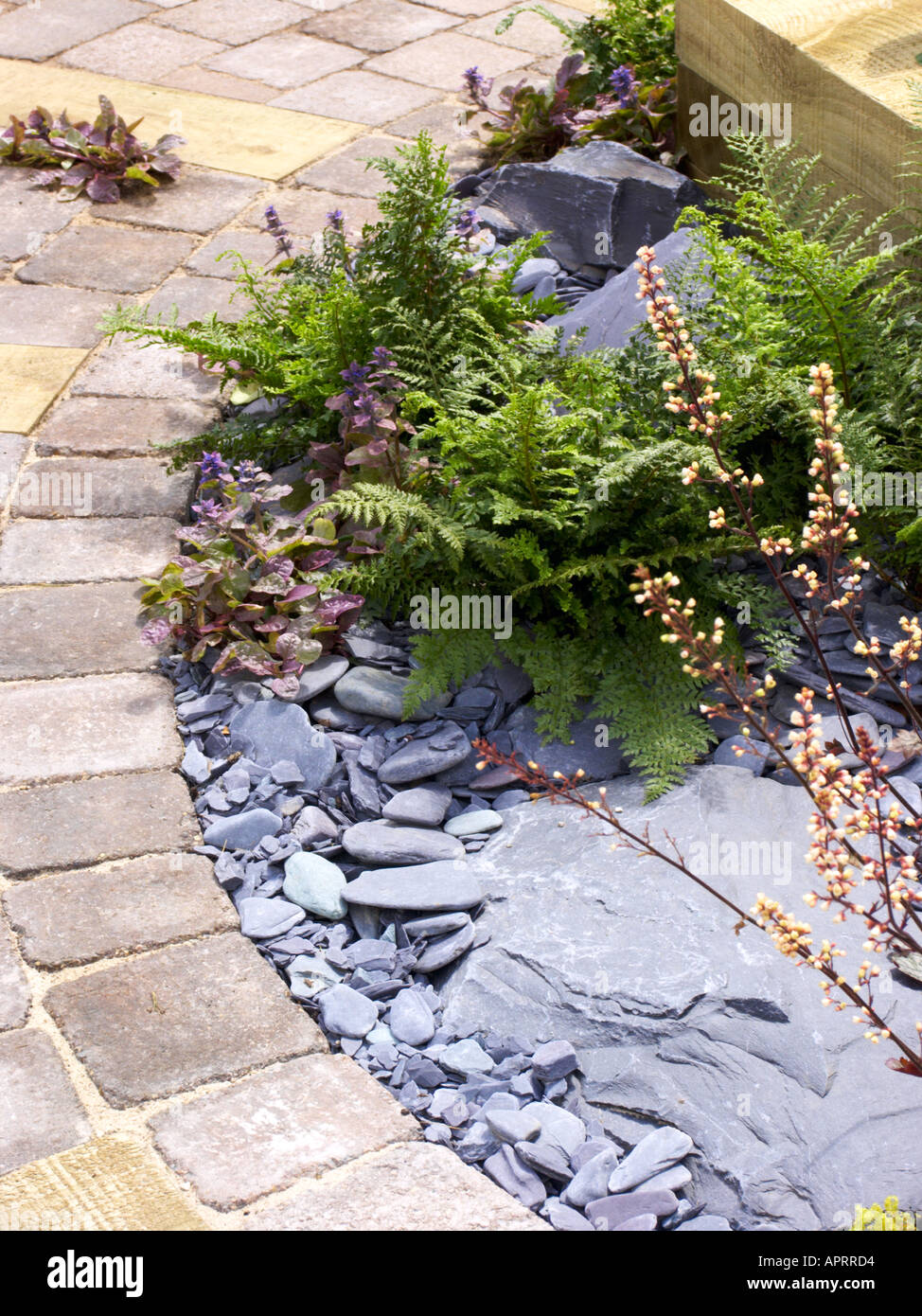 Tatton Flower Show Curved path with slate mulch Ajuga bugle growing through Stock Photo
