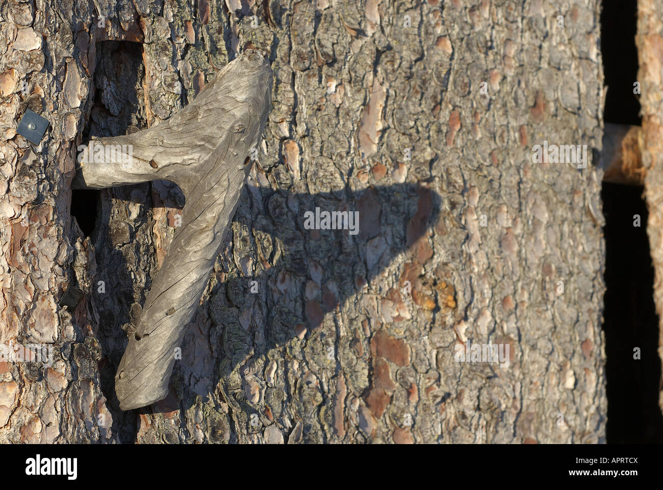 wood door handle and its sadow Stock Photo