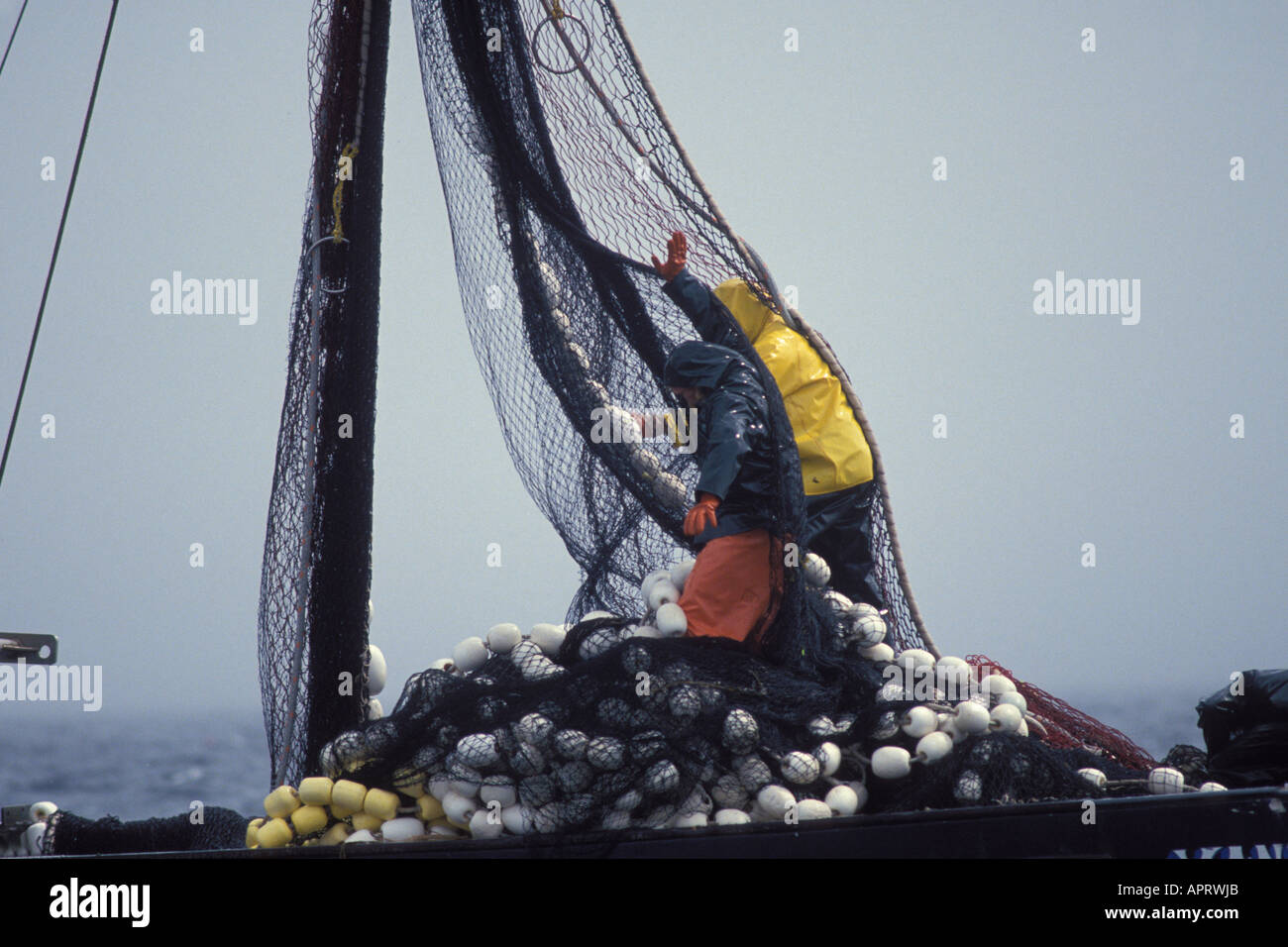 commercial fisherman adjusting sein fishing nets used to catch Chum salmon in Hidden Falls