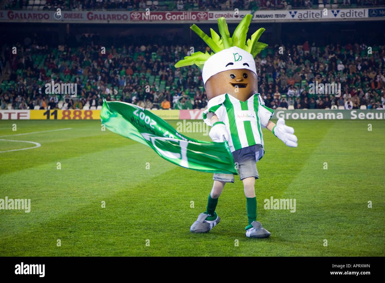 Real Betis Maskotta Hundebett – Größe L, Stadionform – Offizielles Fan-Artikel Für Hunde & Katzen