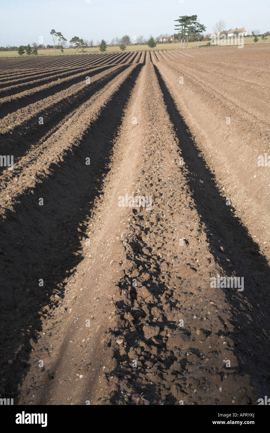 Deep furrows ploughed in soil Butley, Suffolk, England Stock Photo