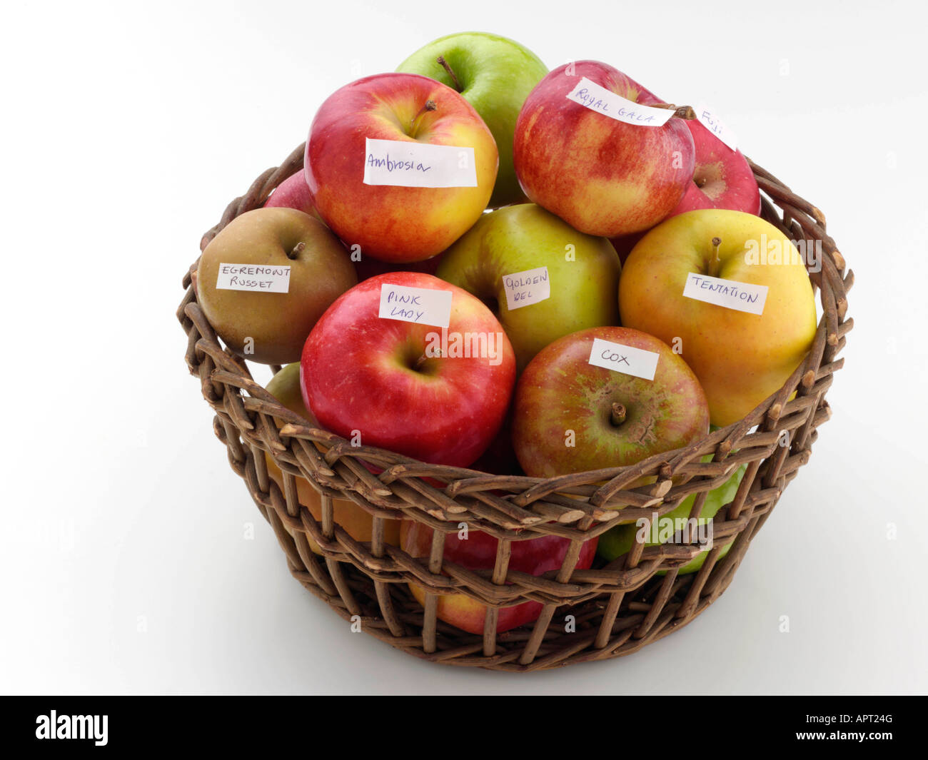 New zealand cox hires stock photography and images Alamy