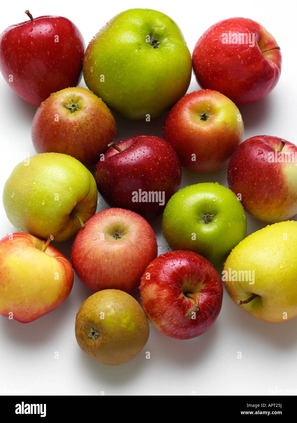 https://c8.alamy.com/comp/APT25J/fourteen-different-varieties-of-apples-editorial-food-APT25J.jpg