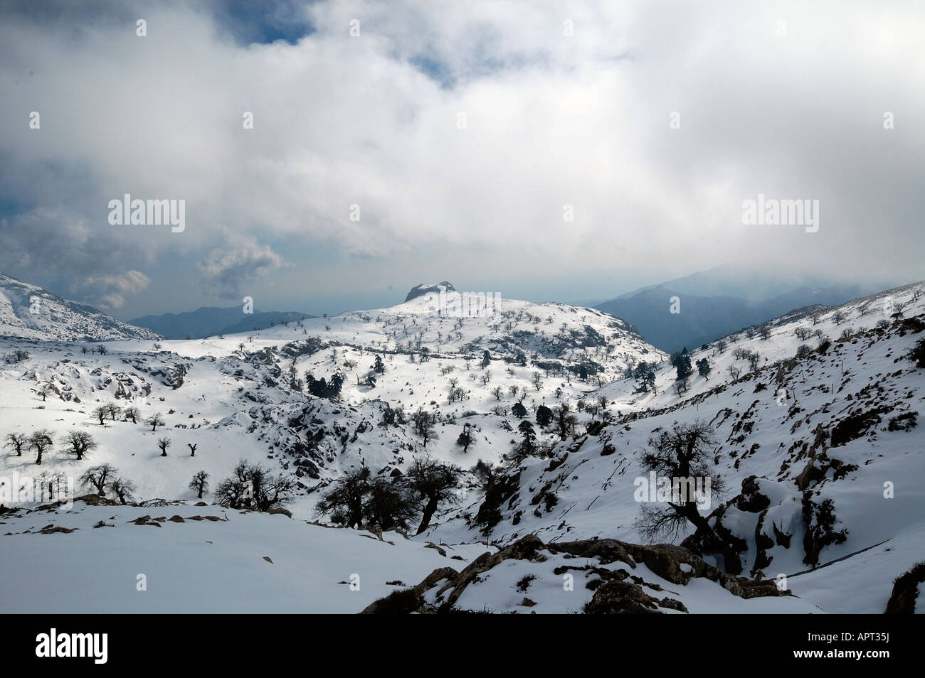 Parque Natural Sierra de las Nieves Stock Photo Alamy Parque Natural Sierra de las Nieves Stock Photo Alamy