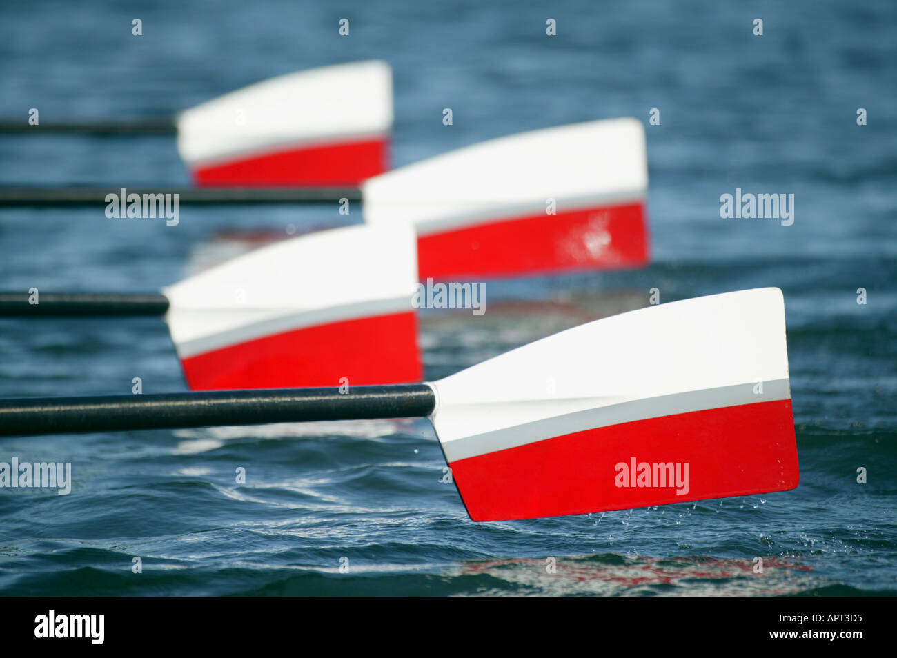 Rowing Blades
