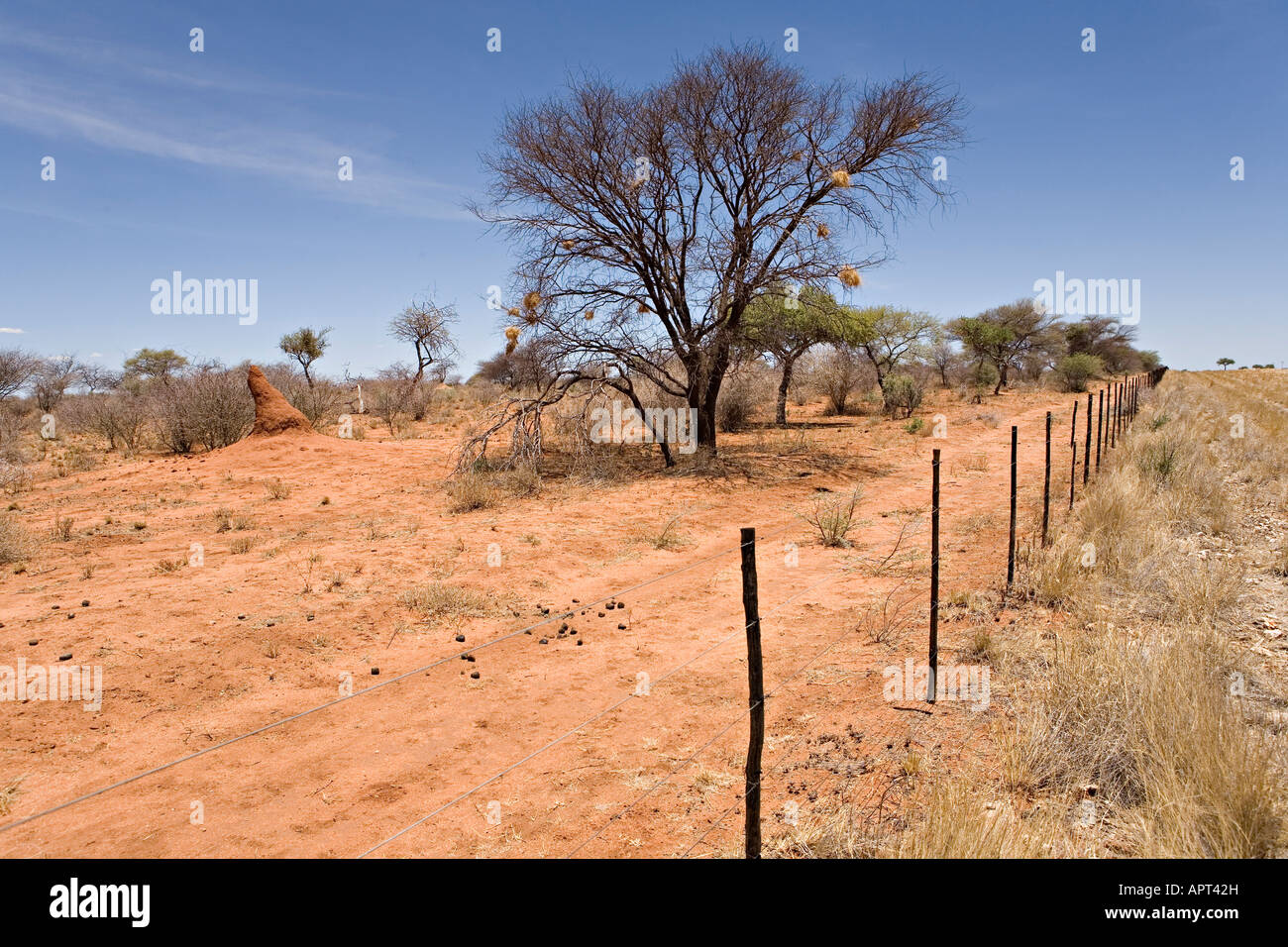 South african farm land hi-res stock photography and images - Alamy