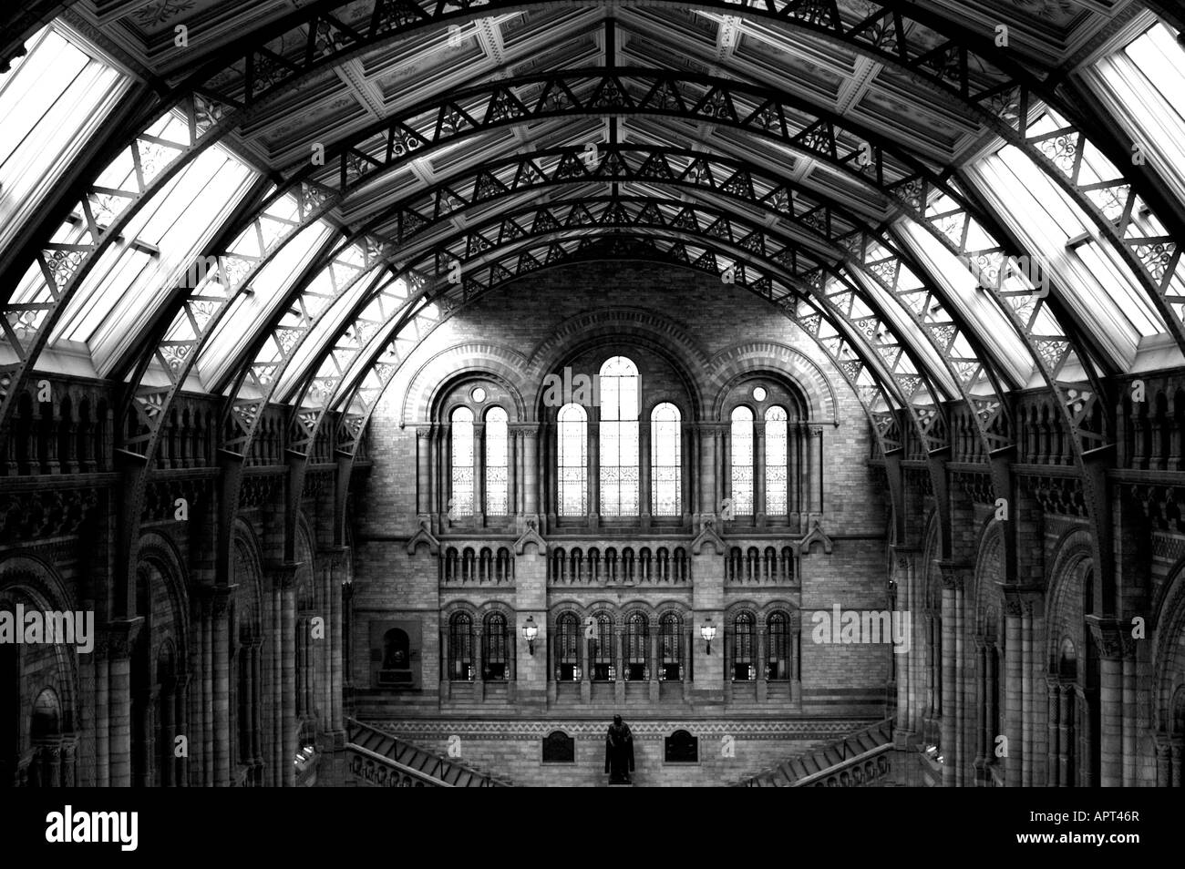 Victorian vault at Museum of Natural History Stock Photo Alamy
