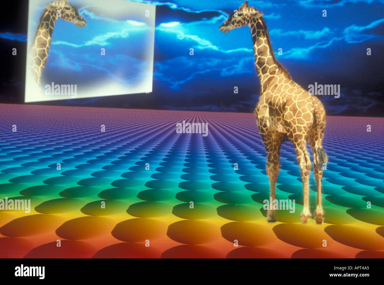 Time Warp Stock Photo