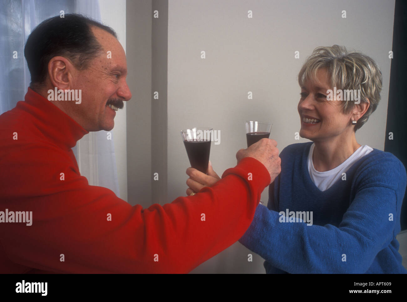 Toasting with Wine Stock Photo