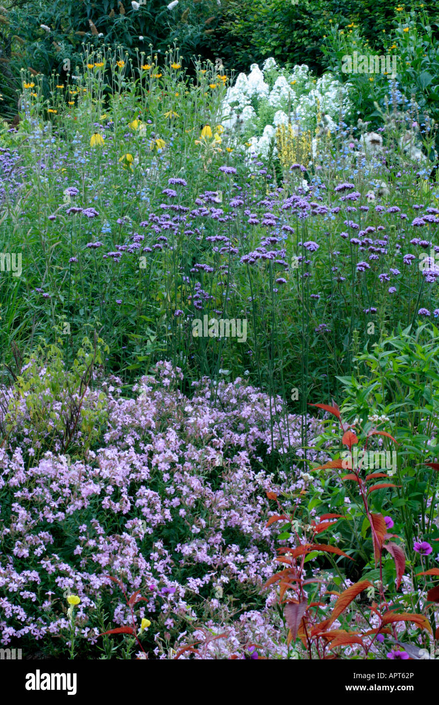 HOLBROOK NATURALISTIC PLANTING IN THE STONE GARDEN IN MID AUGUST Stock Photo
