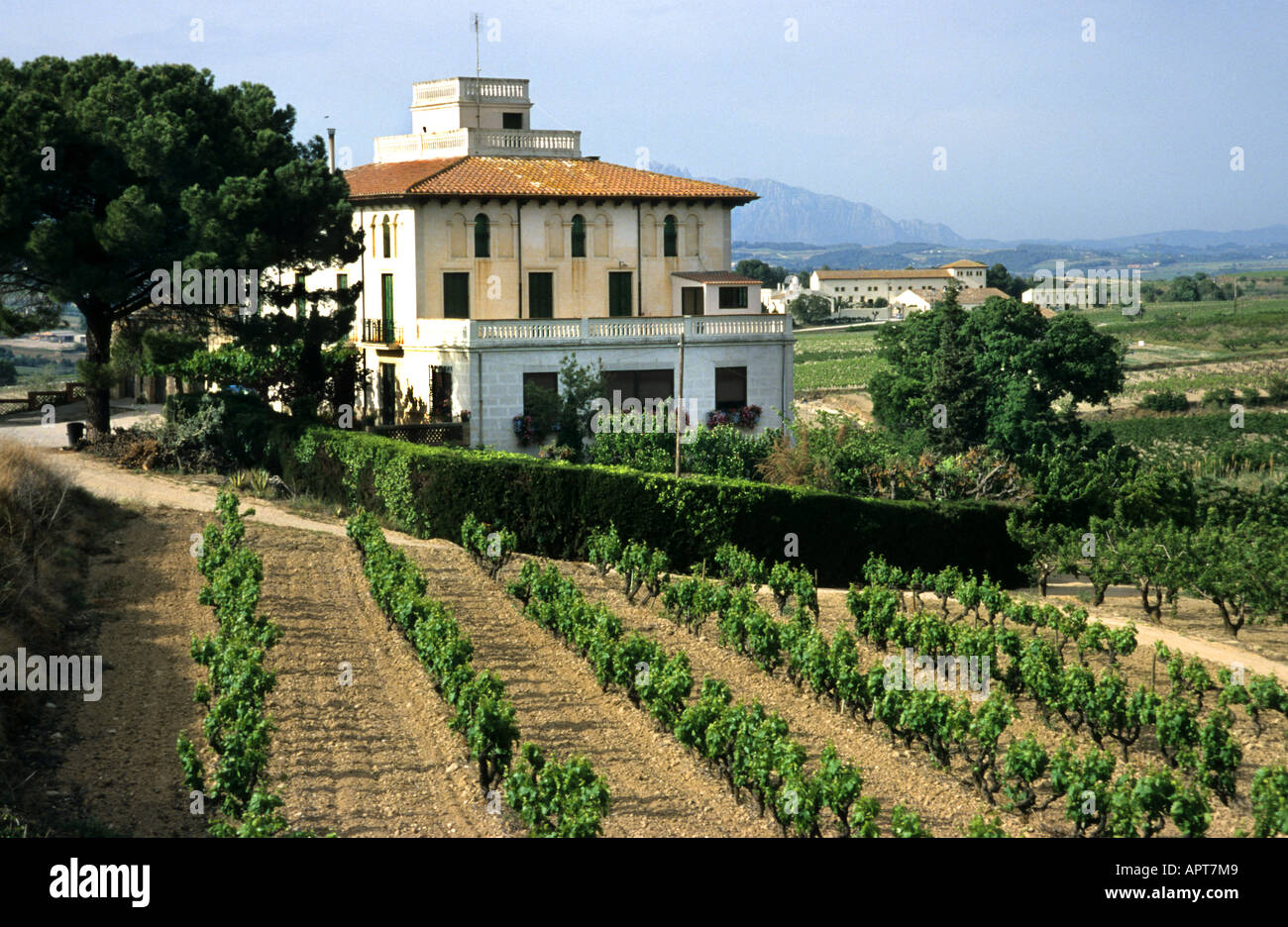 Penedes Spain Spanish wine vineyard winery vintage Stock Photo Alamy