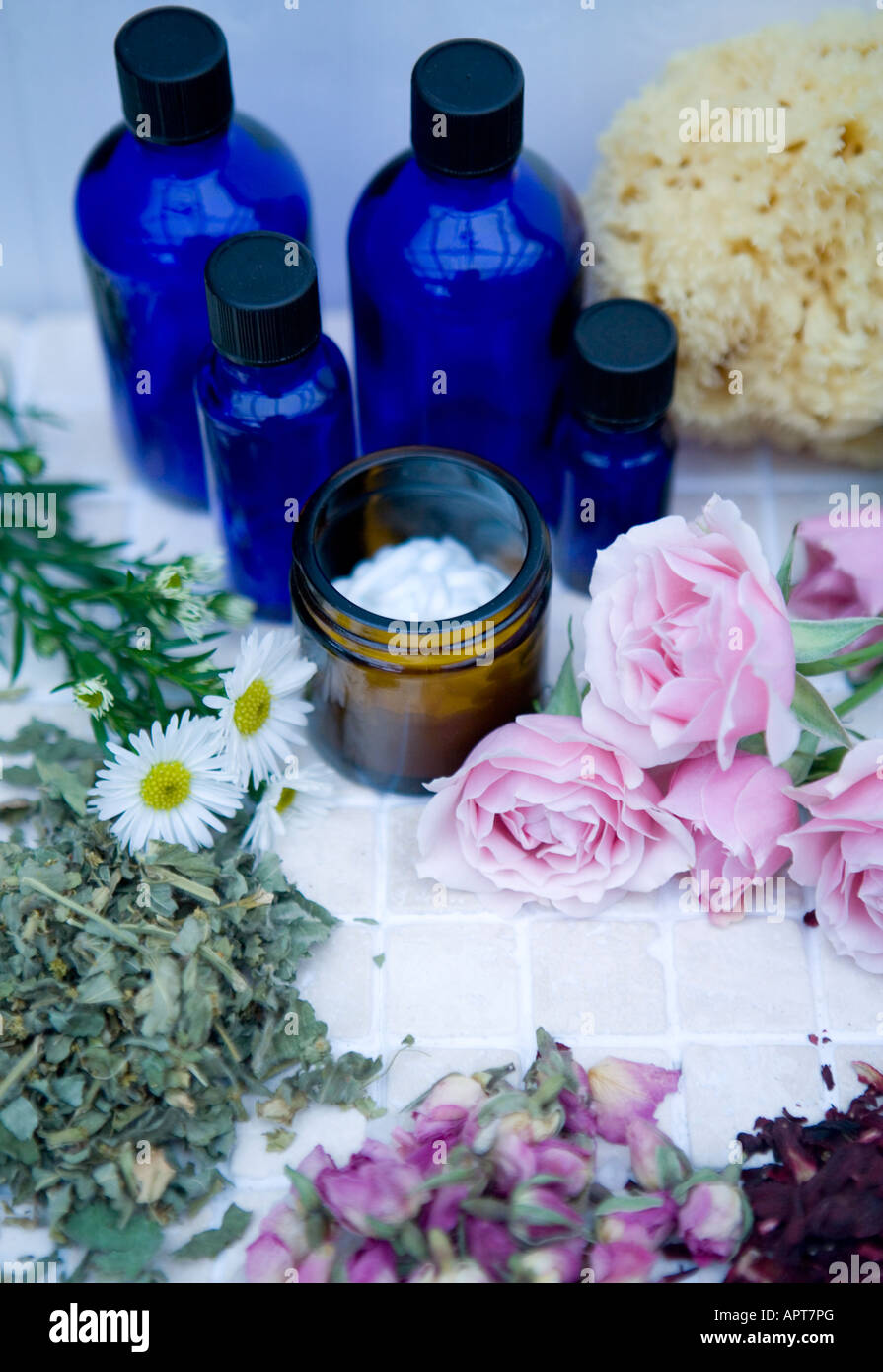 Essential oils with fresh herbs and roses with organic base cream and a natural sponge Stock Photo