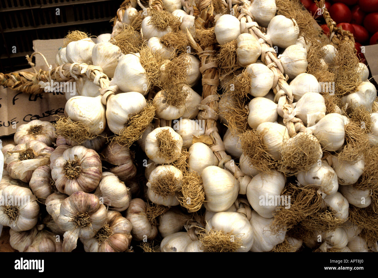 Garlic String France French Market farm  farmer Stock Photo