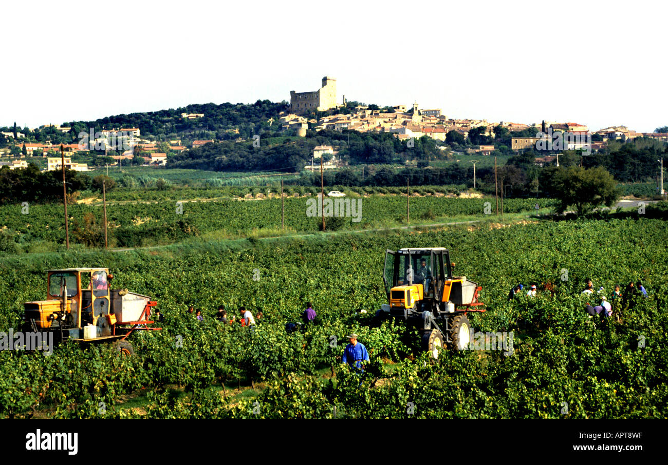 Chateau neuf du Pape Cotes Du Rhone France French Stock Photo Alamy
