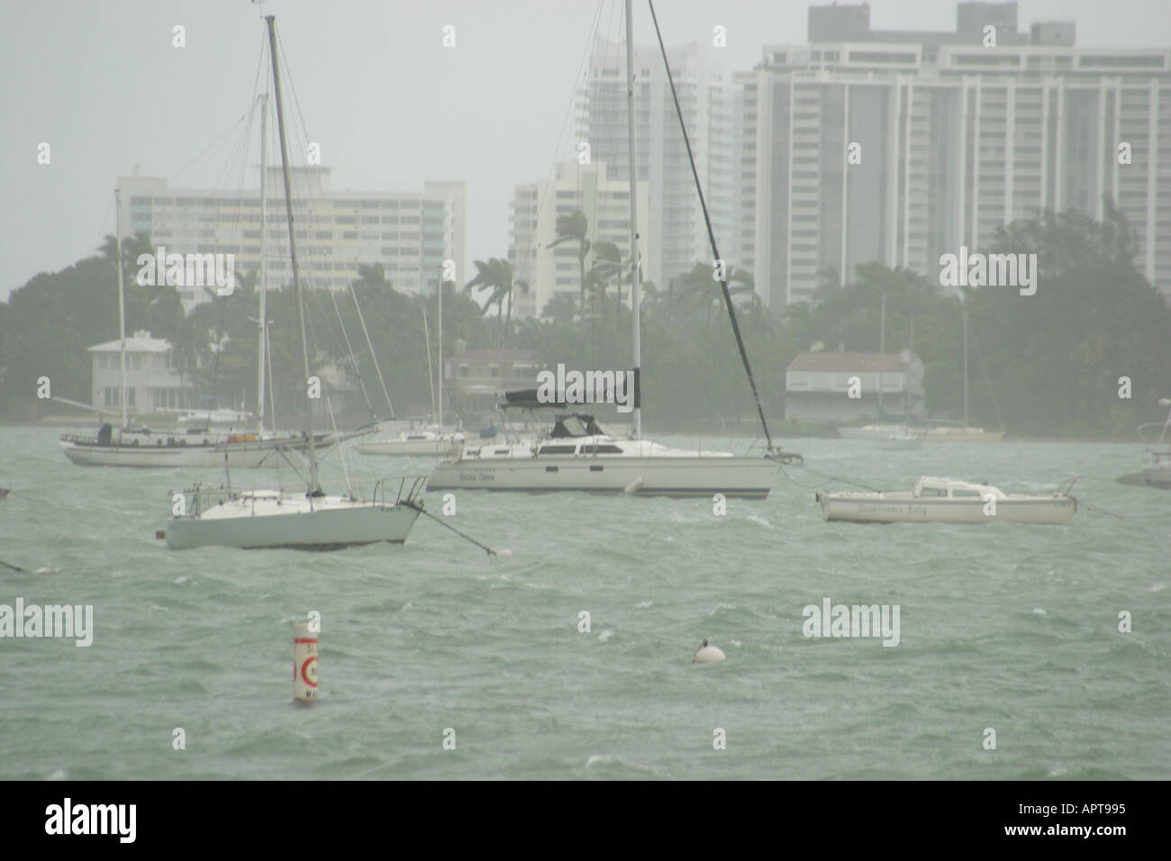 Florida Biscayne Bay water Miami Beach,weather,Hurricane Frances,winds from feeder band,boats