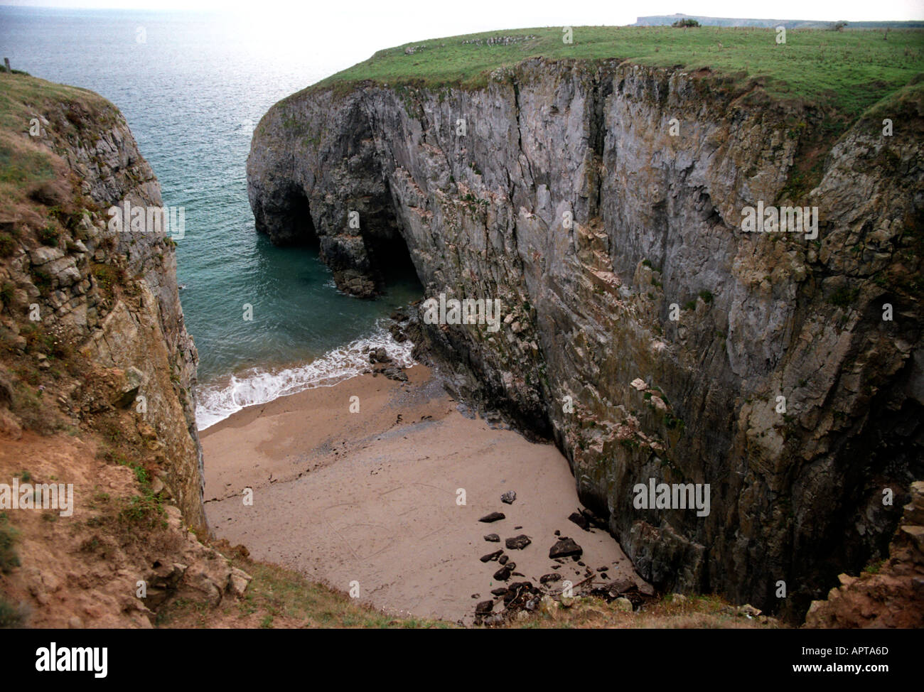 Elegug stacks and arches in Pembrokeshire Wales Stock Photo