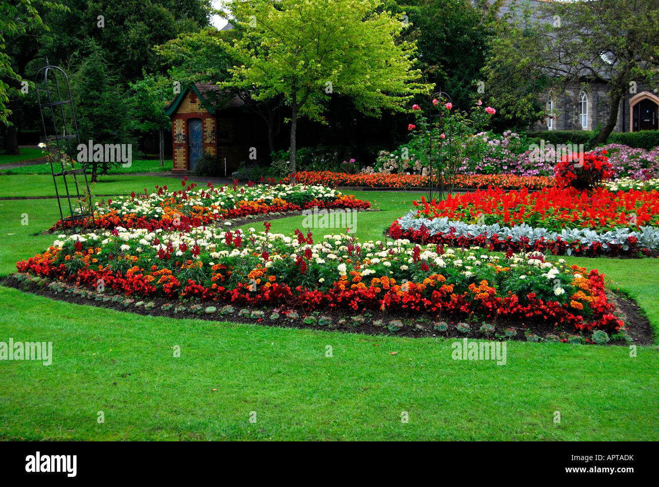 flower beds in the park in summer Stock Photo - Alamy
