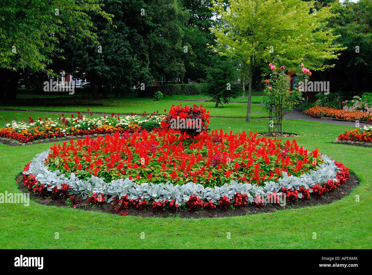 flower beds in the park in summer Stock Photo - Alamy