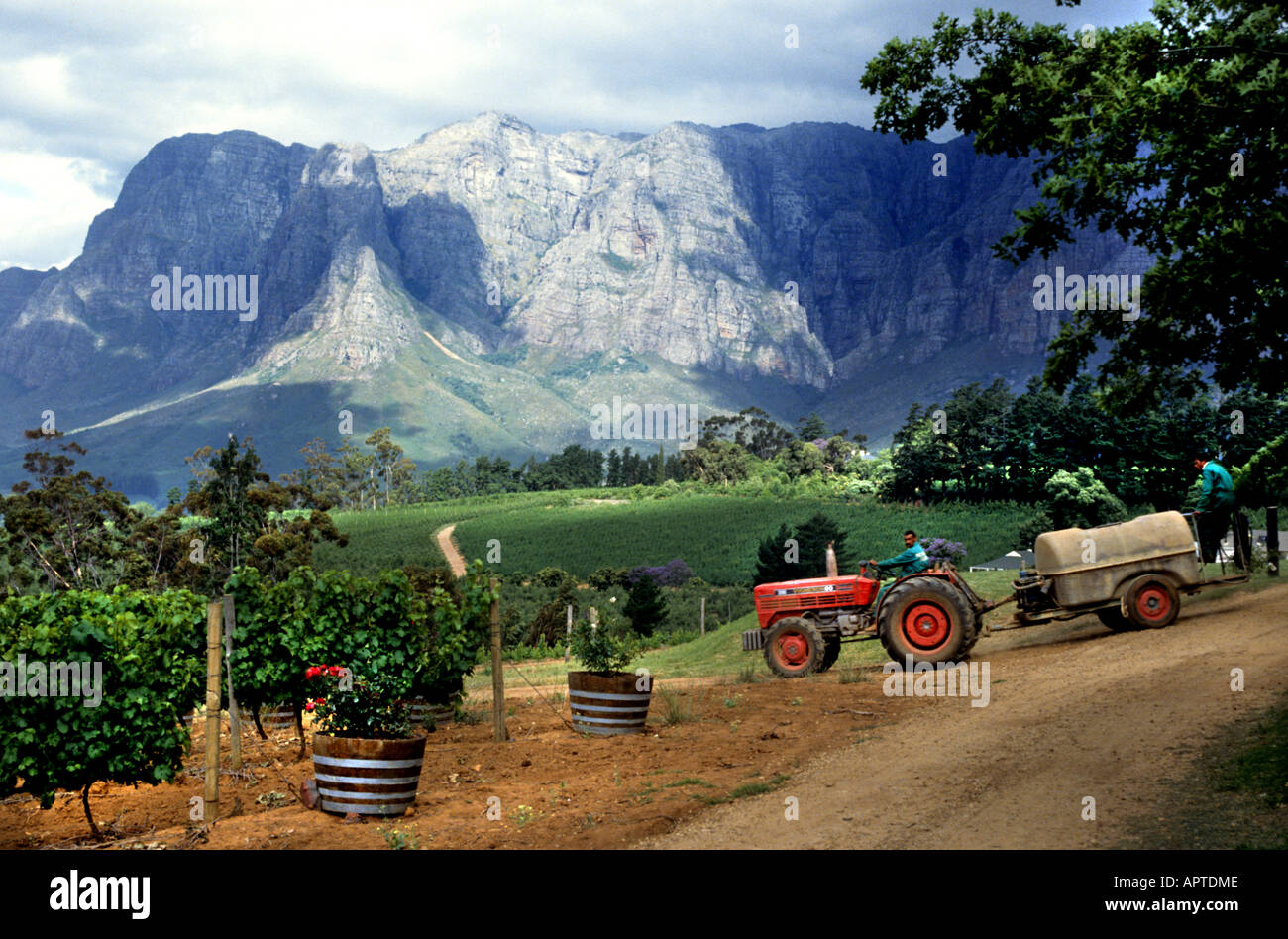 Boschendal South Africa Wine Estate Winery vintage Stock Photo