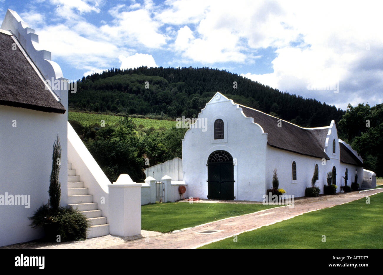 Stellenbosch South Africa Wine Estate Winery Stock Photo Alamy