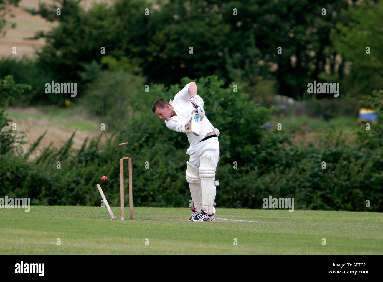 Village cricket match in progress batsman is bowled out and sees his stumps flying up in the air Stock Photo