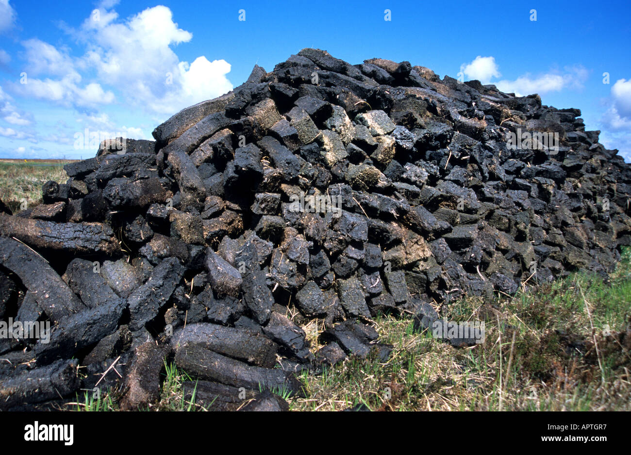 Peat Scotland Scottish whiskey whisky Stock Photo Alamy
