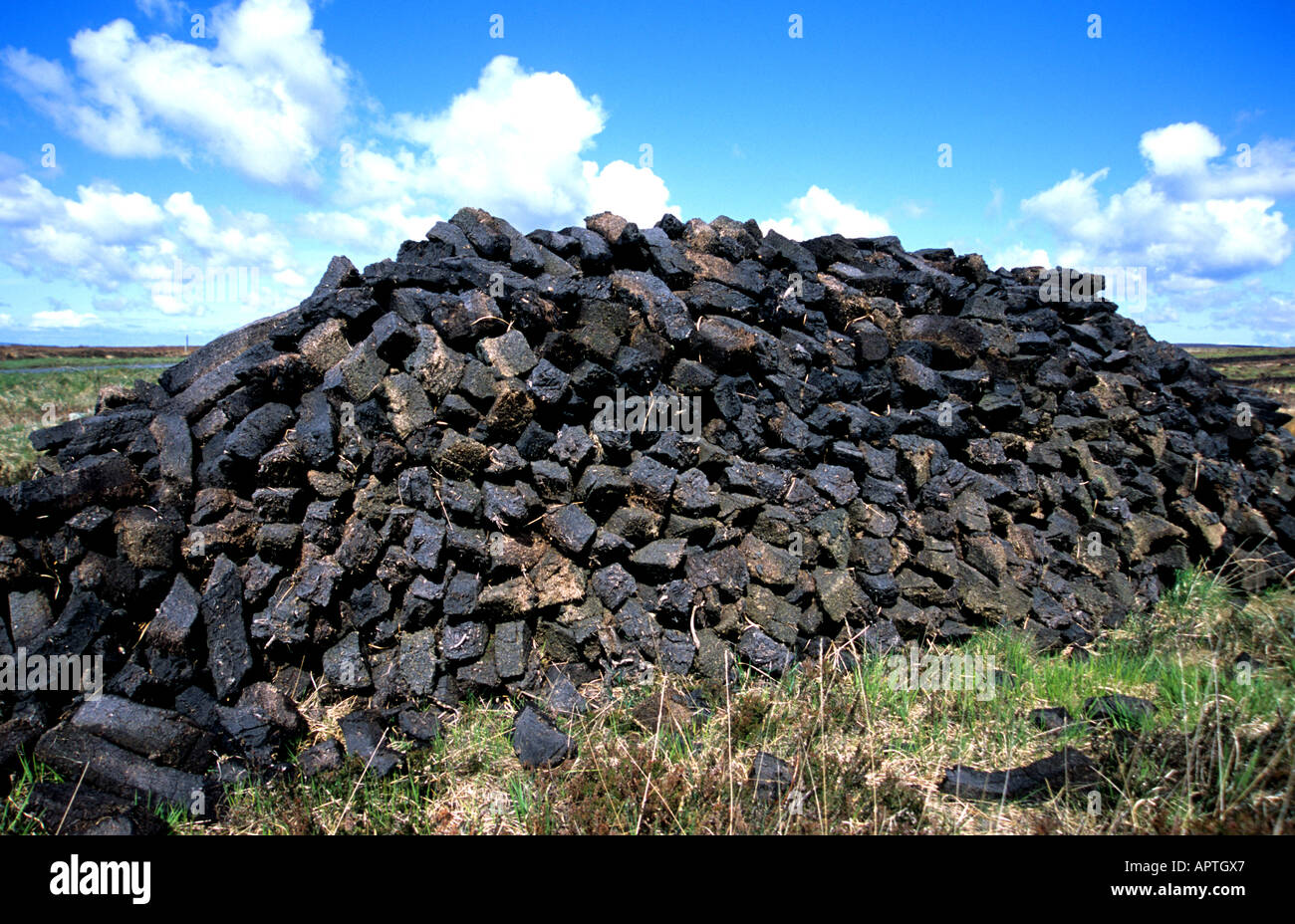 Peat Scotland Scottish whiskey whisky Stock Photo Alamy