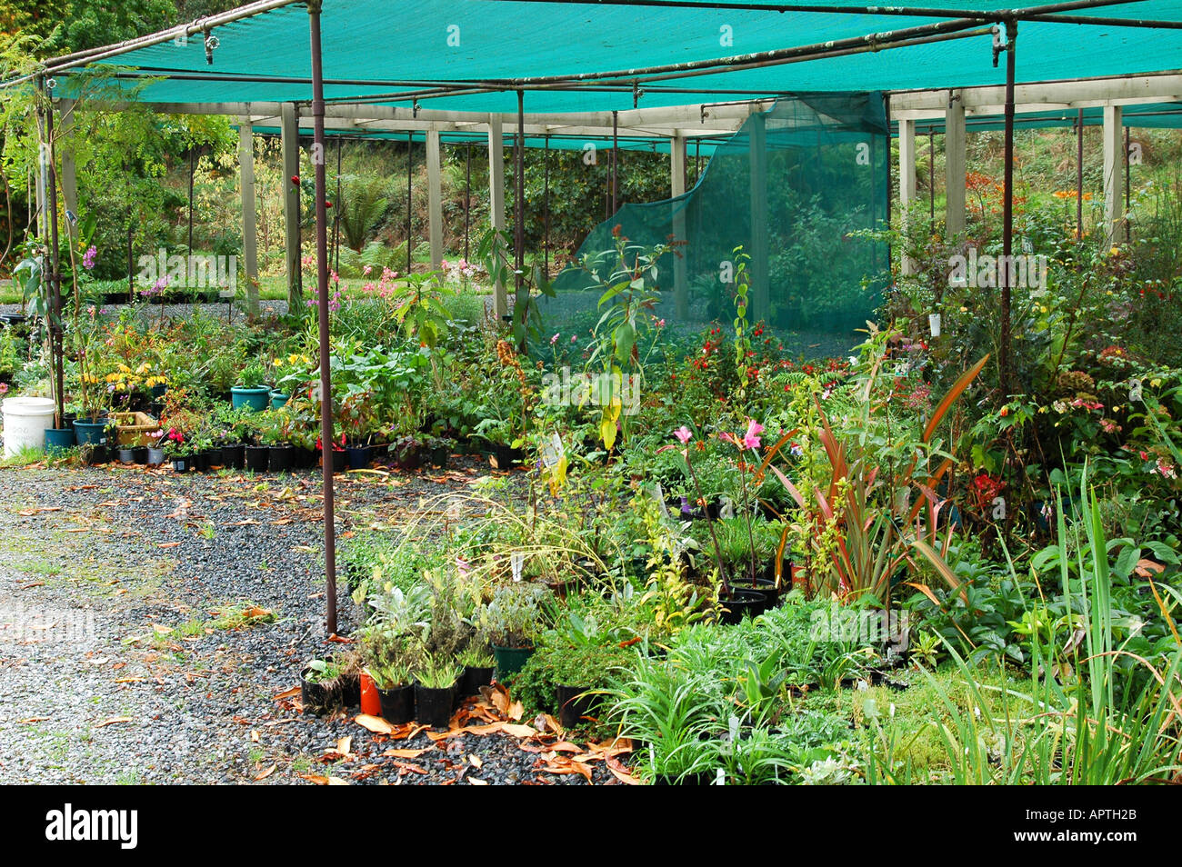 Pot plants garden hi-res stock photography and images - Alamy