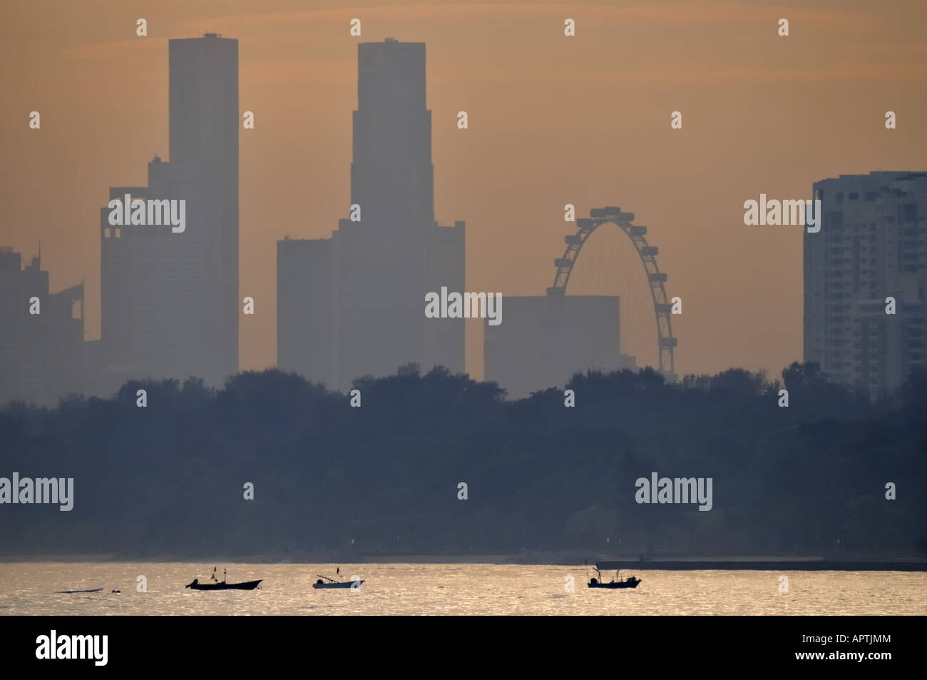 The Singapore Flyer is a giant observation wheel in Singapore and slated for an opening on March 1 2008 Stock Photo