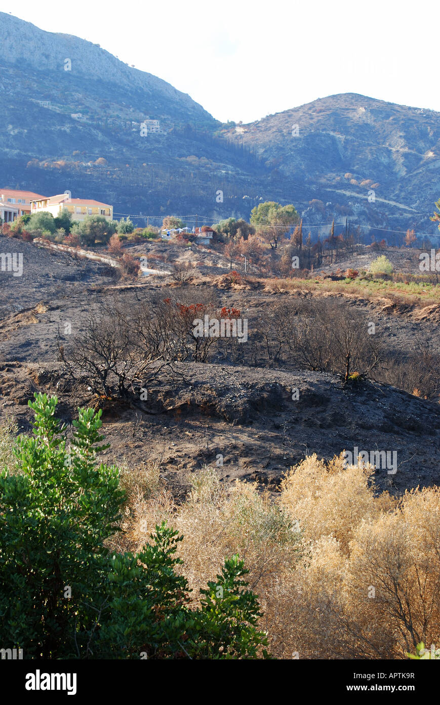 burnt out wasteland kephalonia number 2596 Stock Photo