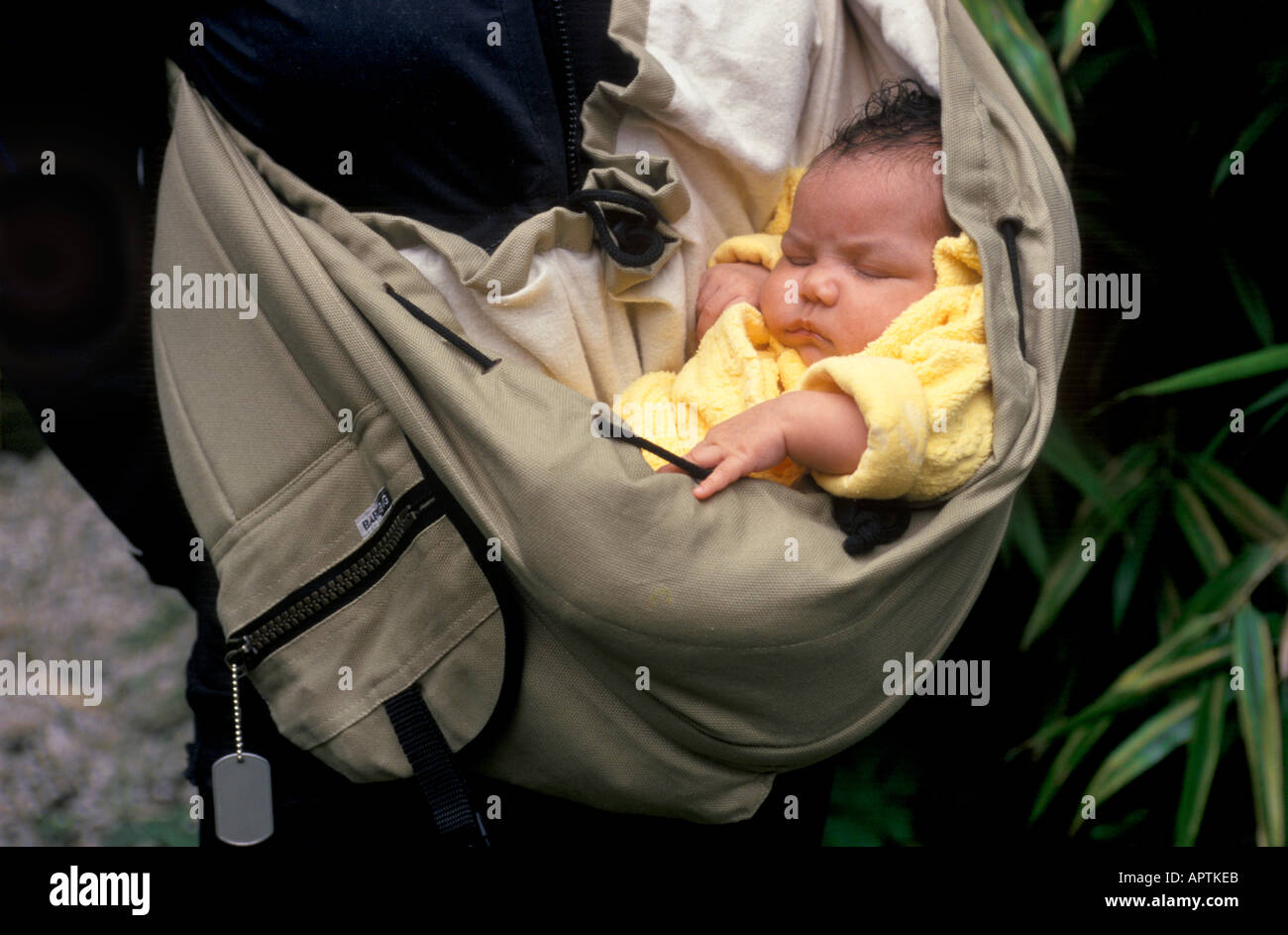 Baby sleeping in a carrier bag Stock Photo Alamy