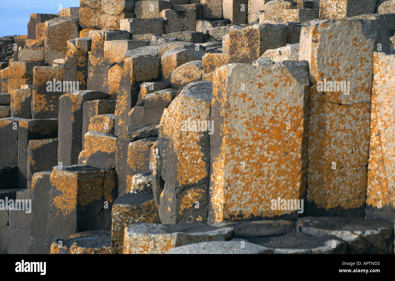 Basalt Columns at Giants Causeway Northern Ireland Stock Photo