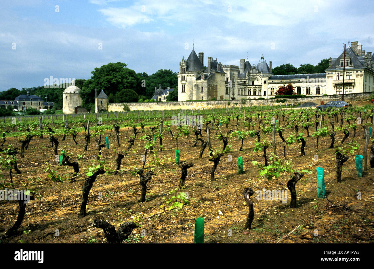 France Wine Harvest Loire Chateau Vouvray castle Stock Photo Alamy