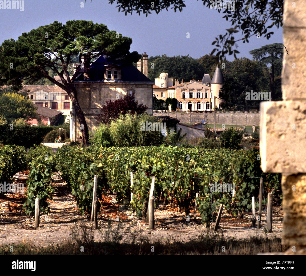 France Bordeaux Wine Lafite Rothschild Chateau French Bordeaux Wine 