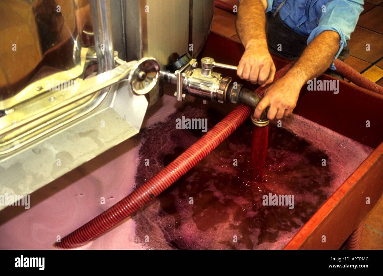 France Bordeaux Wine Vintage Chateau Medoc cellar Stock Photo